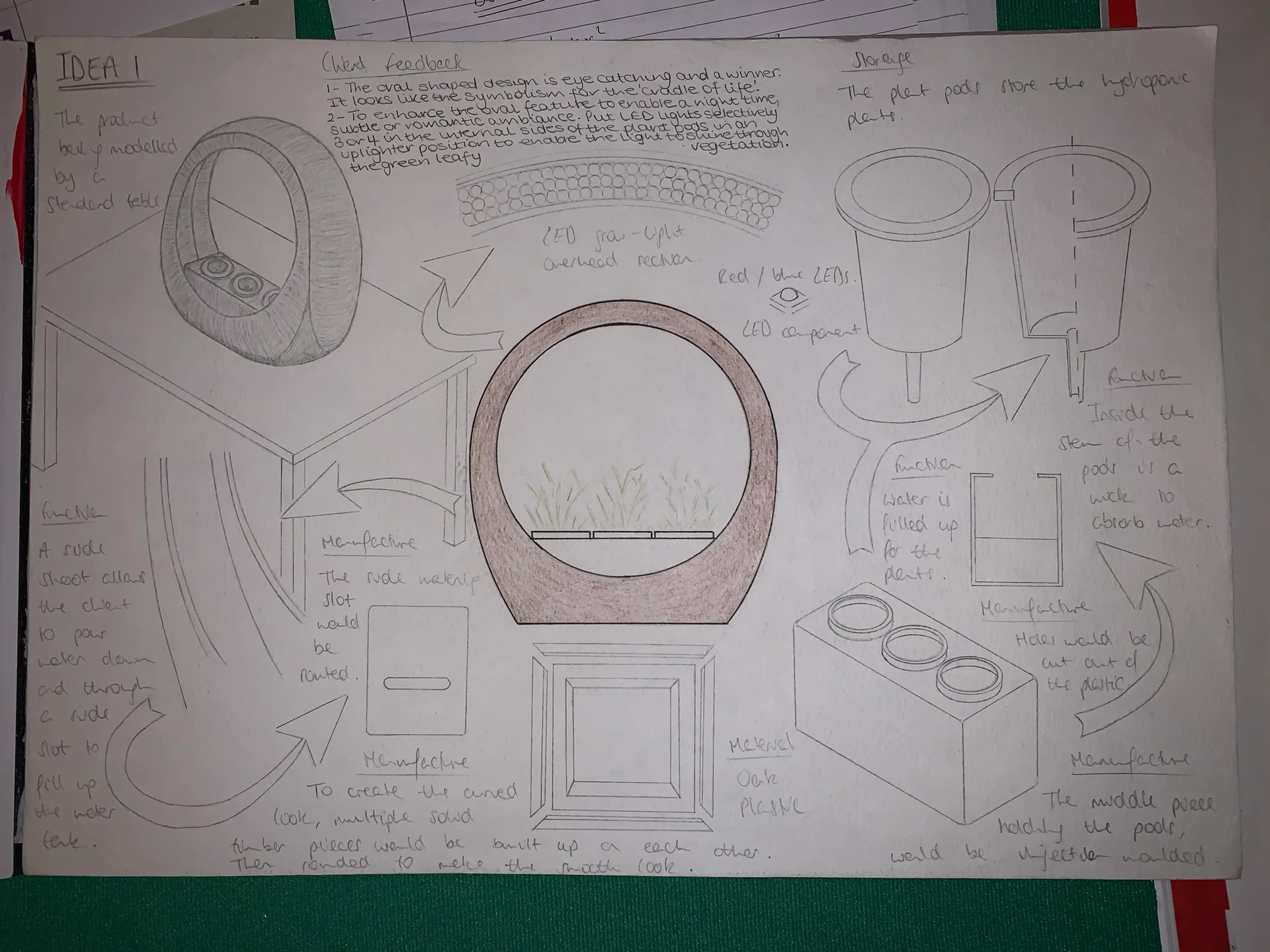 Hydroponics Project — image 6